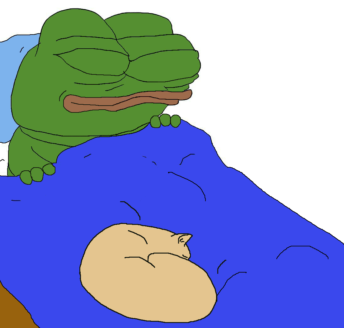 a cat resting on a sleeping pepe's bed